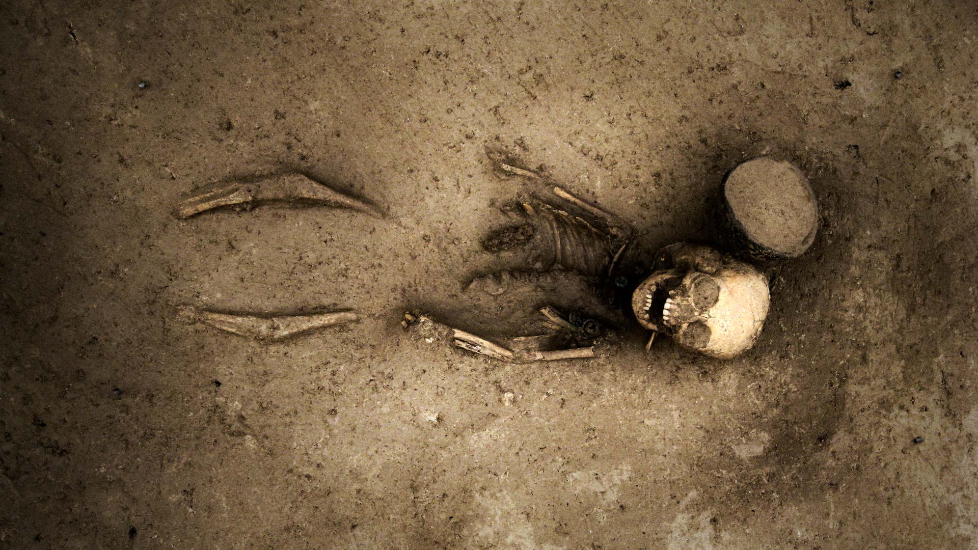 Keltengrab: Für die Forschenden sind solche Funde Ausgangslage für neue Erkenntnisse.