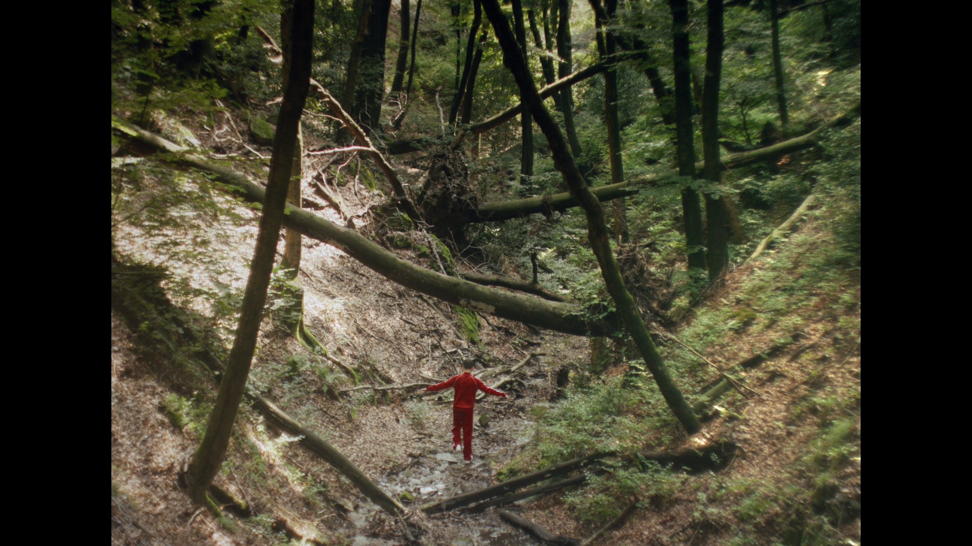 Digging the traces of war buried in the forests: scene of "No One Will Hurt You".