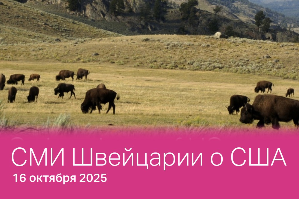 Каждый четверг мы анализируем то, как швейцарские СМИ освещают и комментируют, на их взгляд, самые важные события, связанные с Соединёнными Штатами, в области политики, экономики и науки