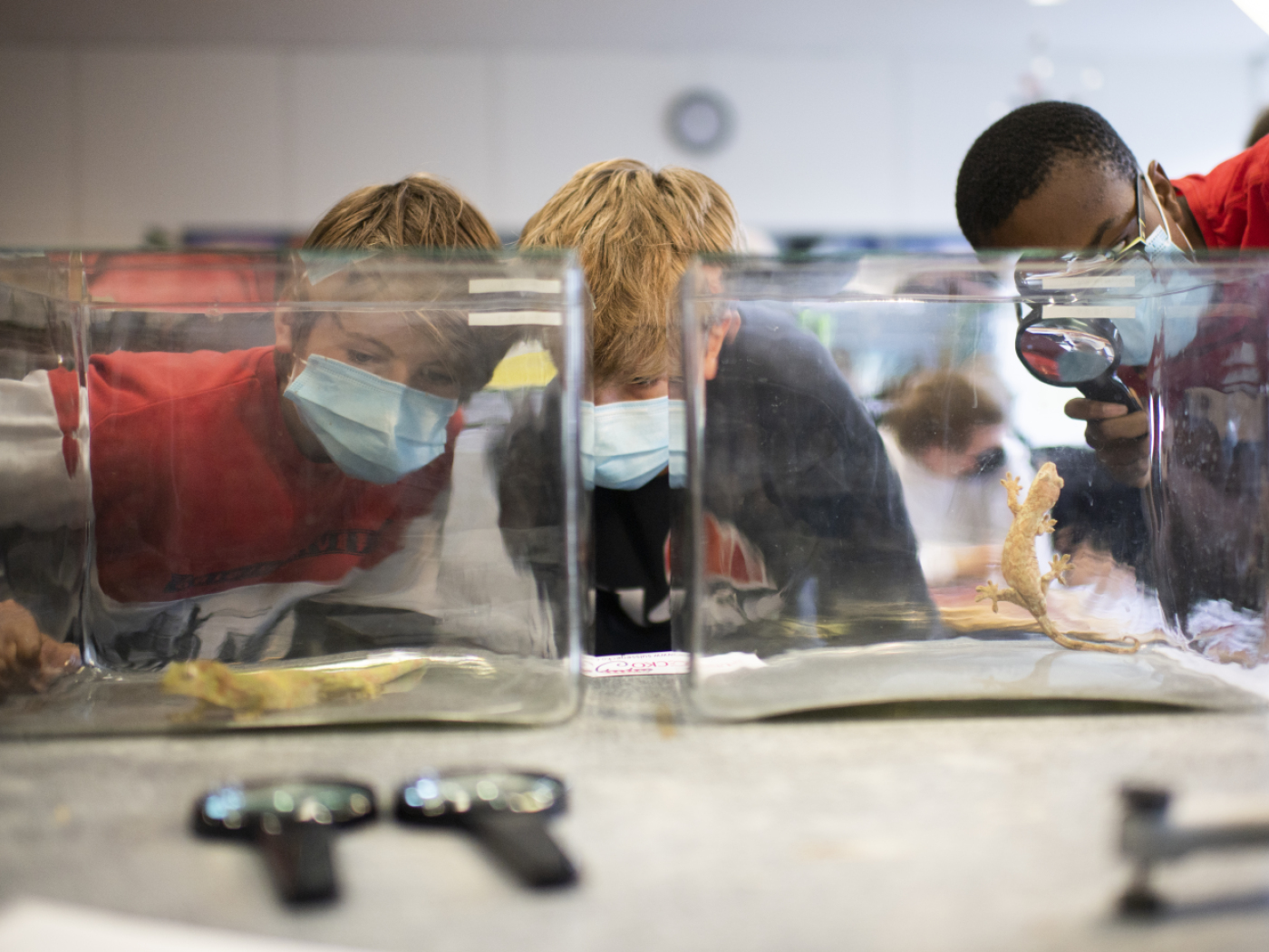 Parents trust daughters less than sons in science