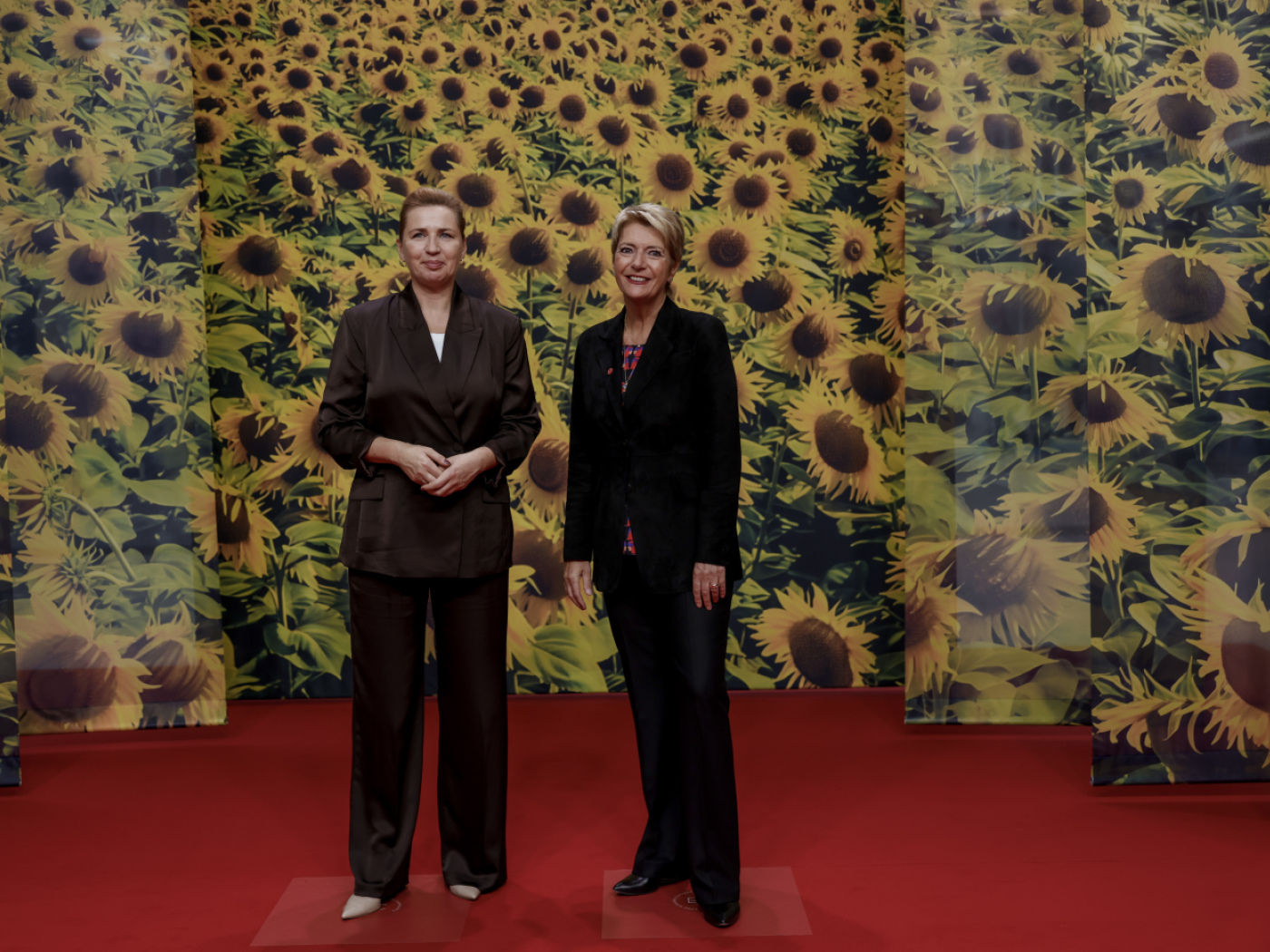 Karin Keller-Sutter discusses financial stability in Copenhagen