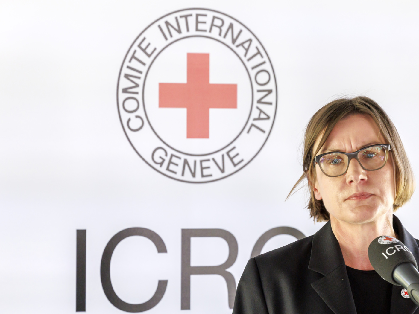 ICRC to support implementation of Israel-Hamas agreement