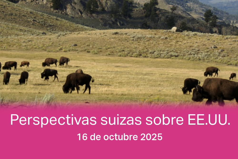 Perspectivas suizas sobre EE.UU.