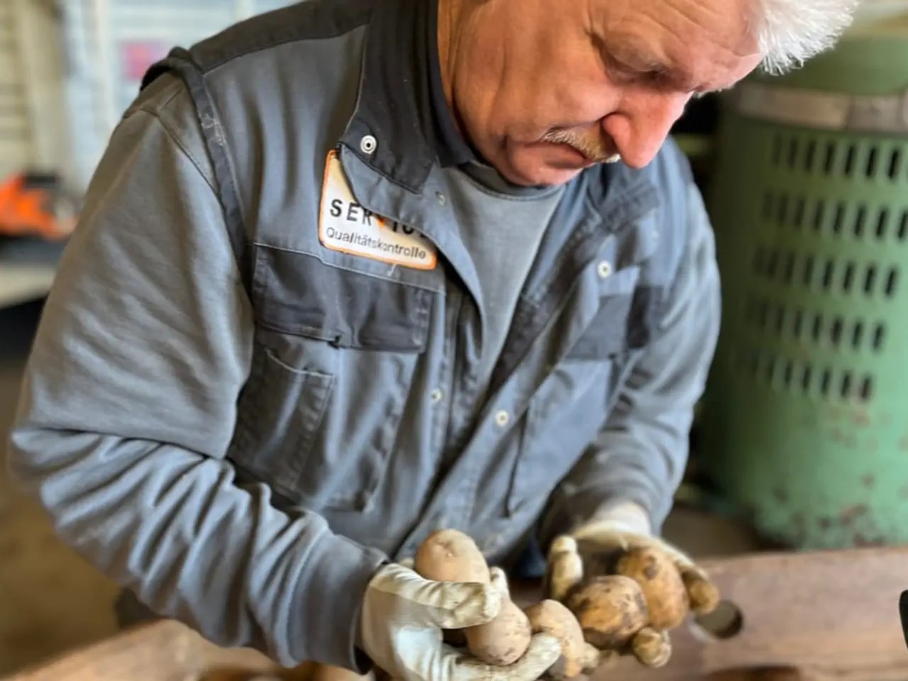 Even when the potatoes end up in the feed trough, they are checked by Hans Aeschbacher. The quality determines how much compensation the farmer receives.