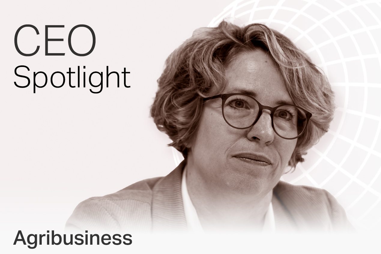 "Das 'Läckerli Huus' steht nicht zum Verkauf"