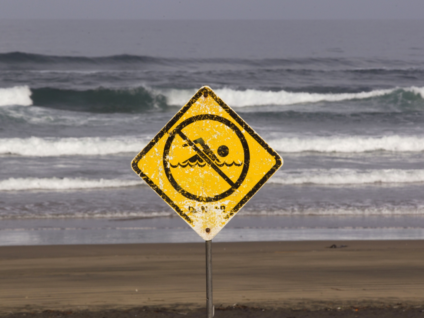 Swiss woman dies in shark attack in Australia