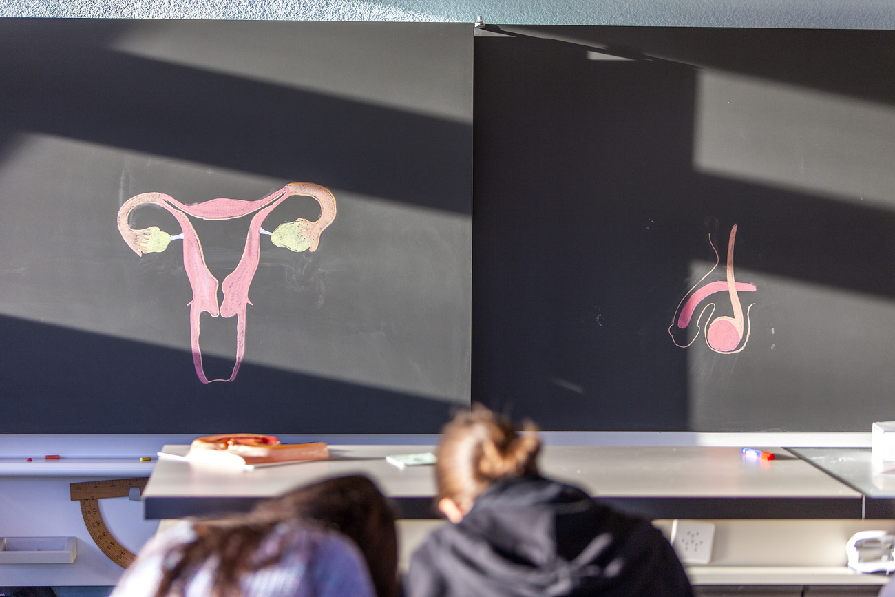 lavagna di una scuola