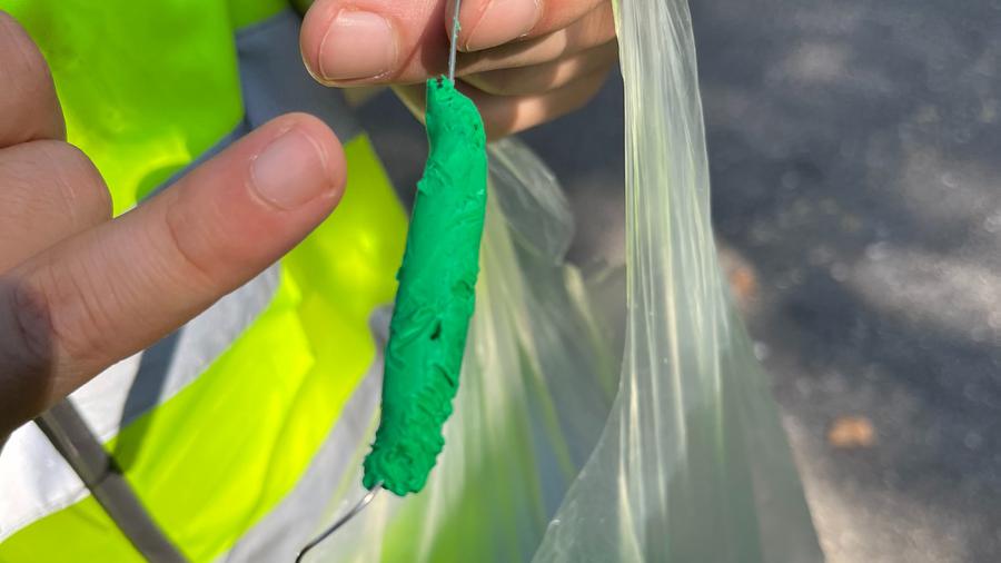 Frasspuren von Vögeln und Säugetieren auf einer künstlichen Raupe