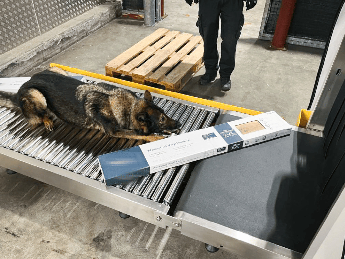Service dog tracks down 128 kilograms of hashish at Zurich Airport