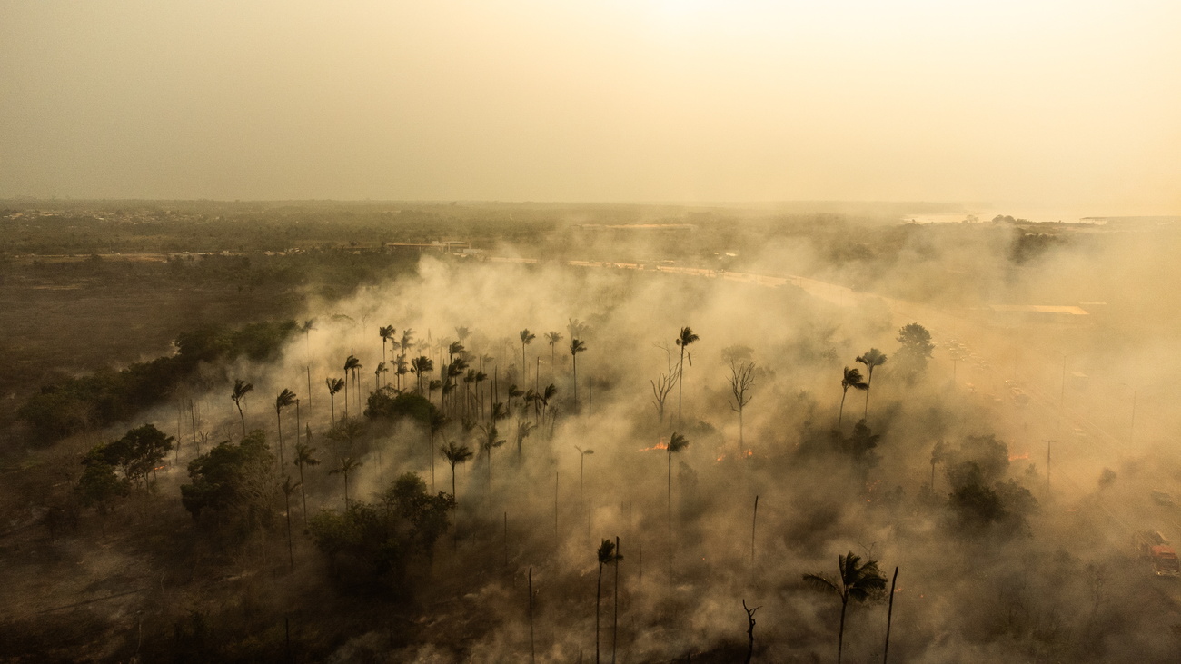 A drone photograph shows a fire that took over a forest