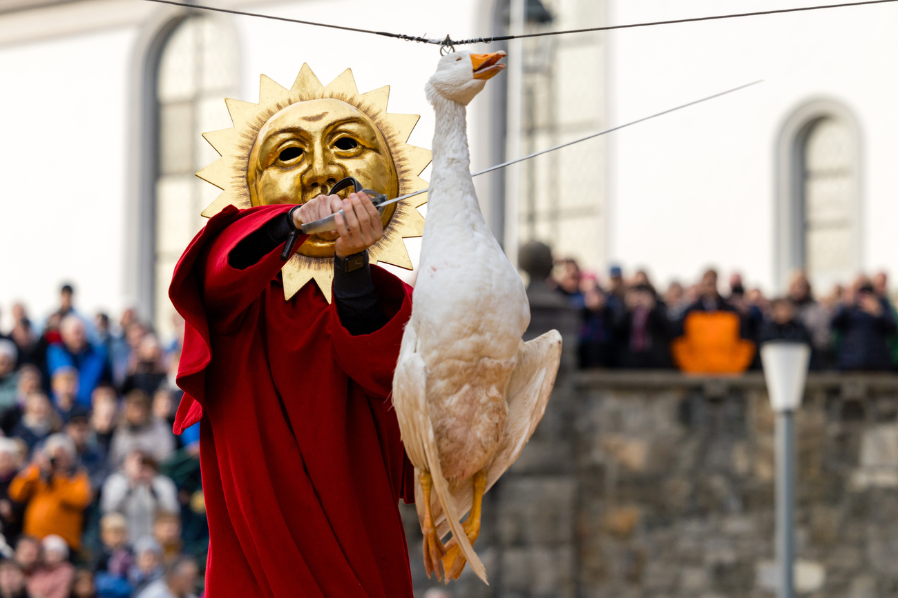 Il Gansabhauet a Sursee.