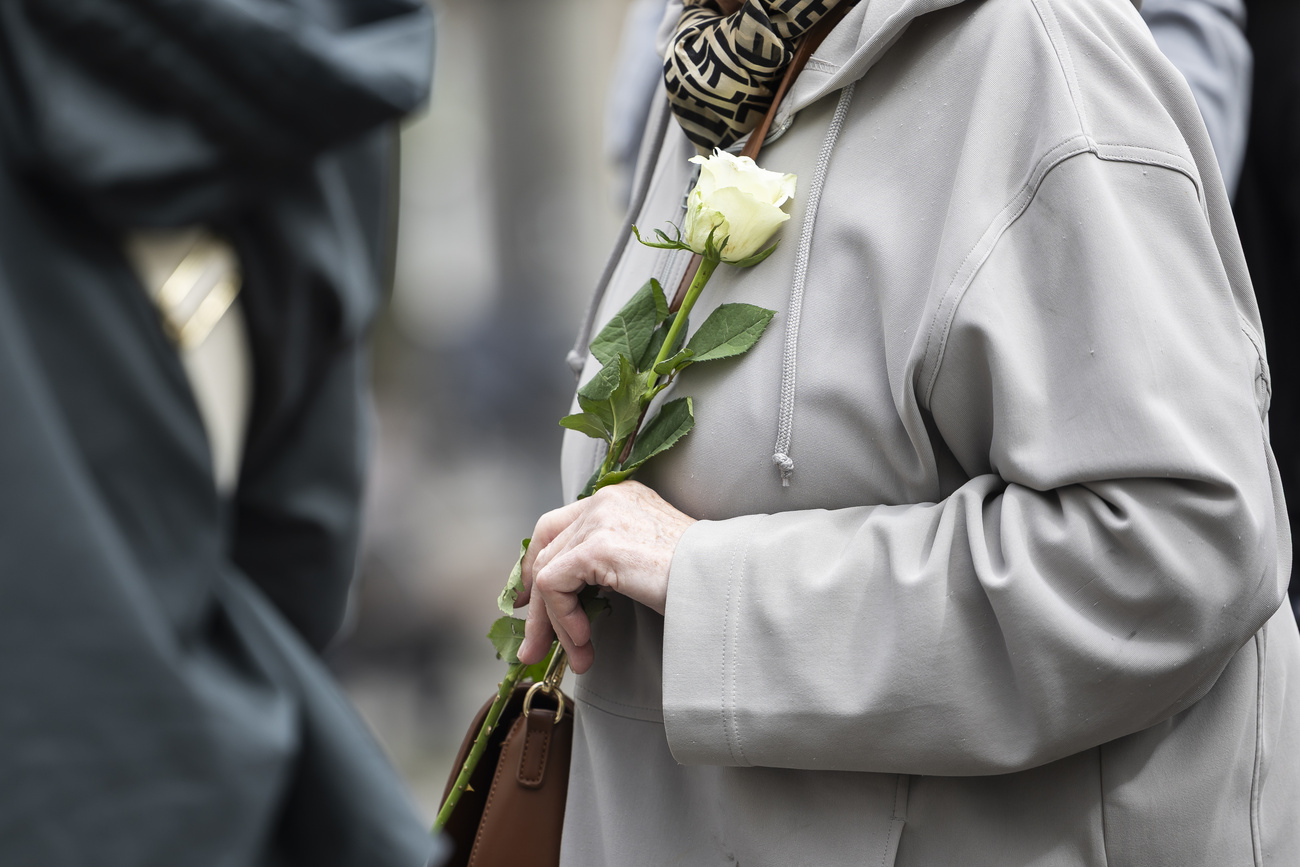 donna tiene in mano una rosa bianca