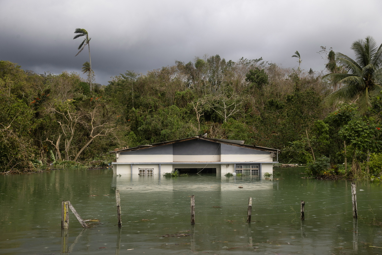 A flooded house in green water, surrounded by flooded vegetation