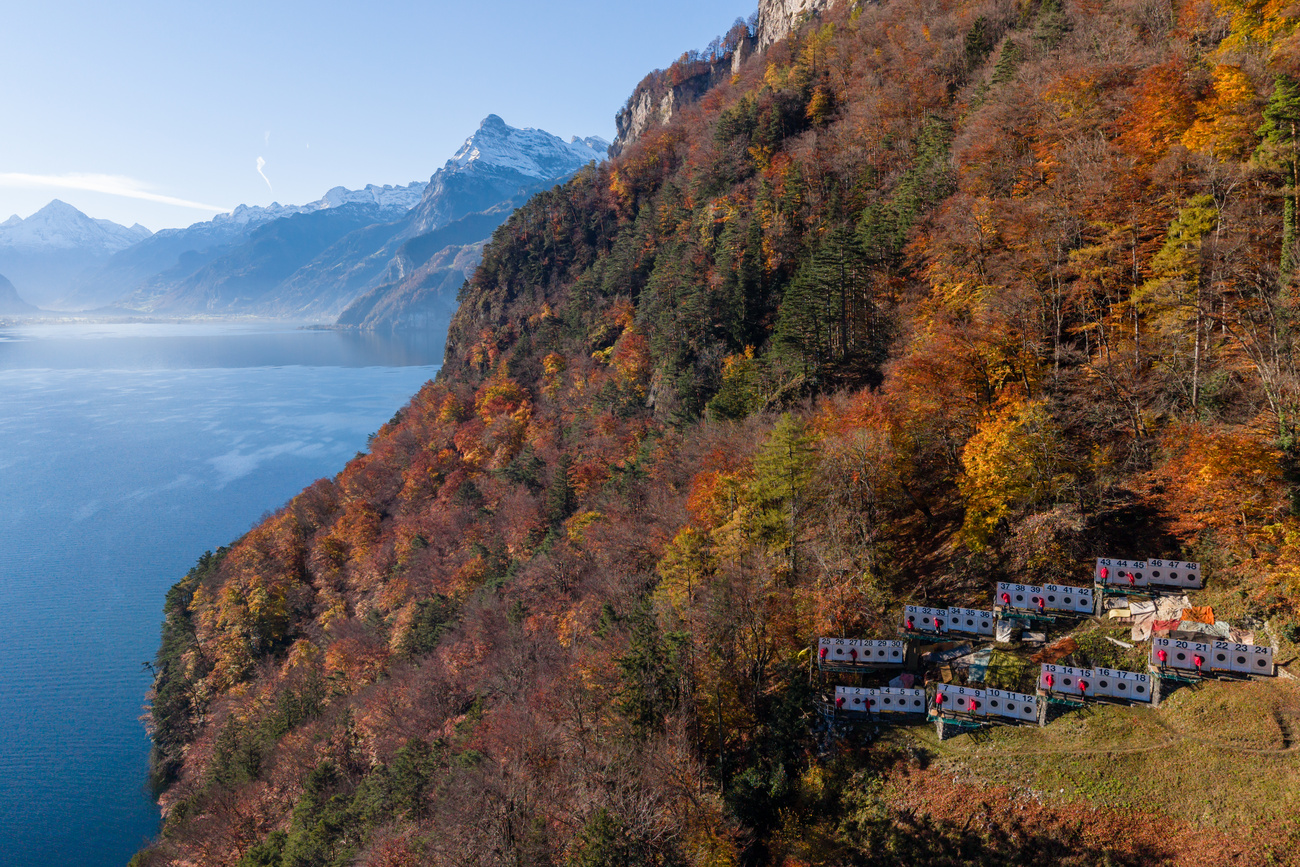 bersagli del 162 tiro del gruetli