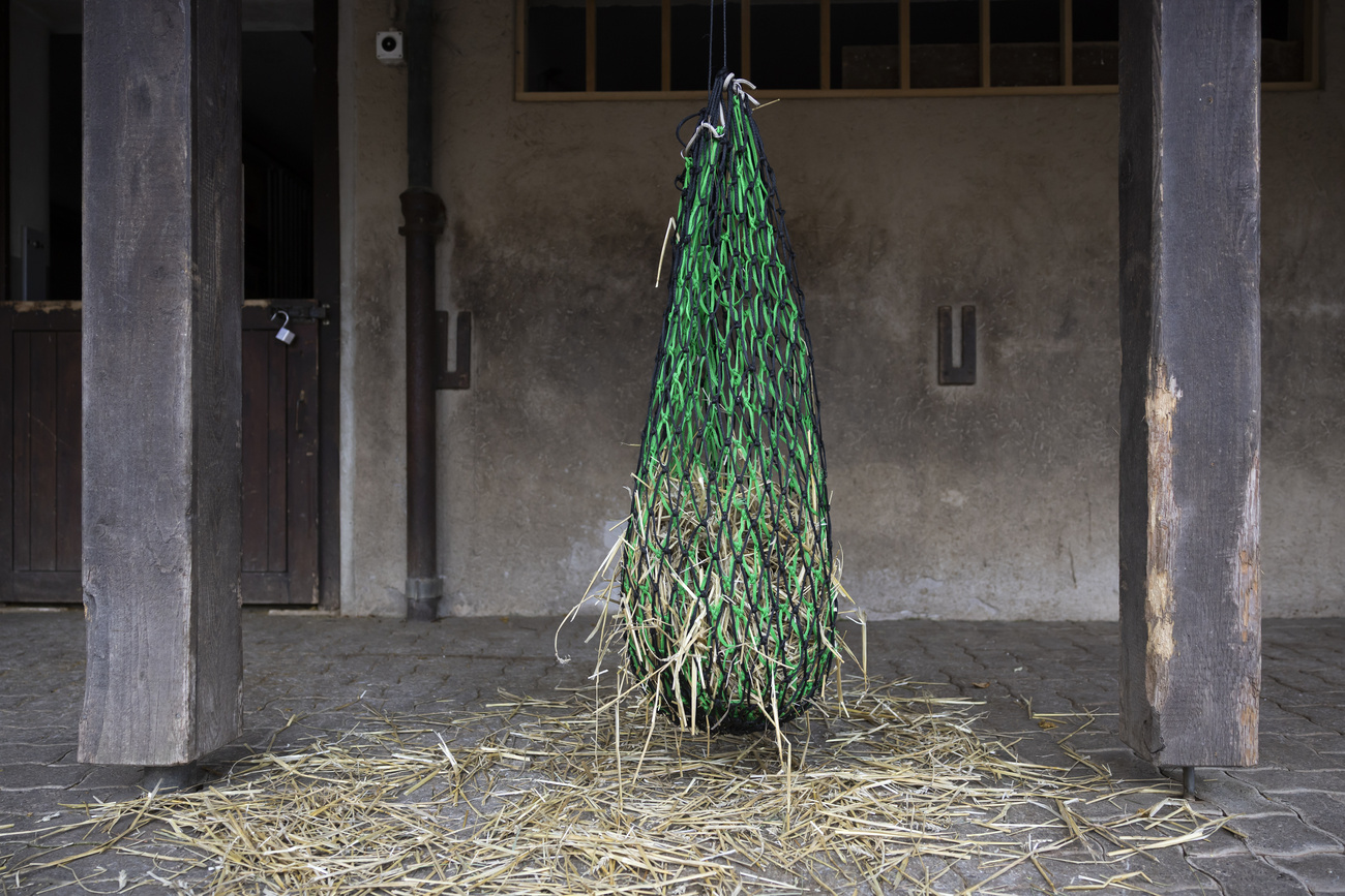 Un sacco di fieno è appeso vicino a una stalla nello zoo per bambini, giovedì 20 novembre 2025, allo zoo Daehlhoelzli di Berna.