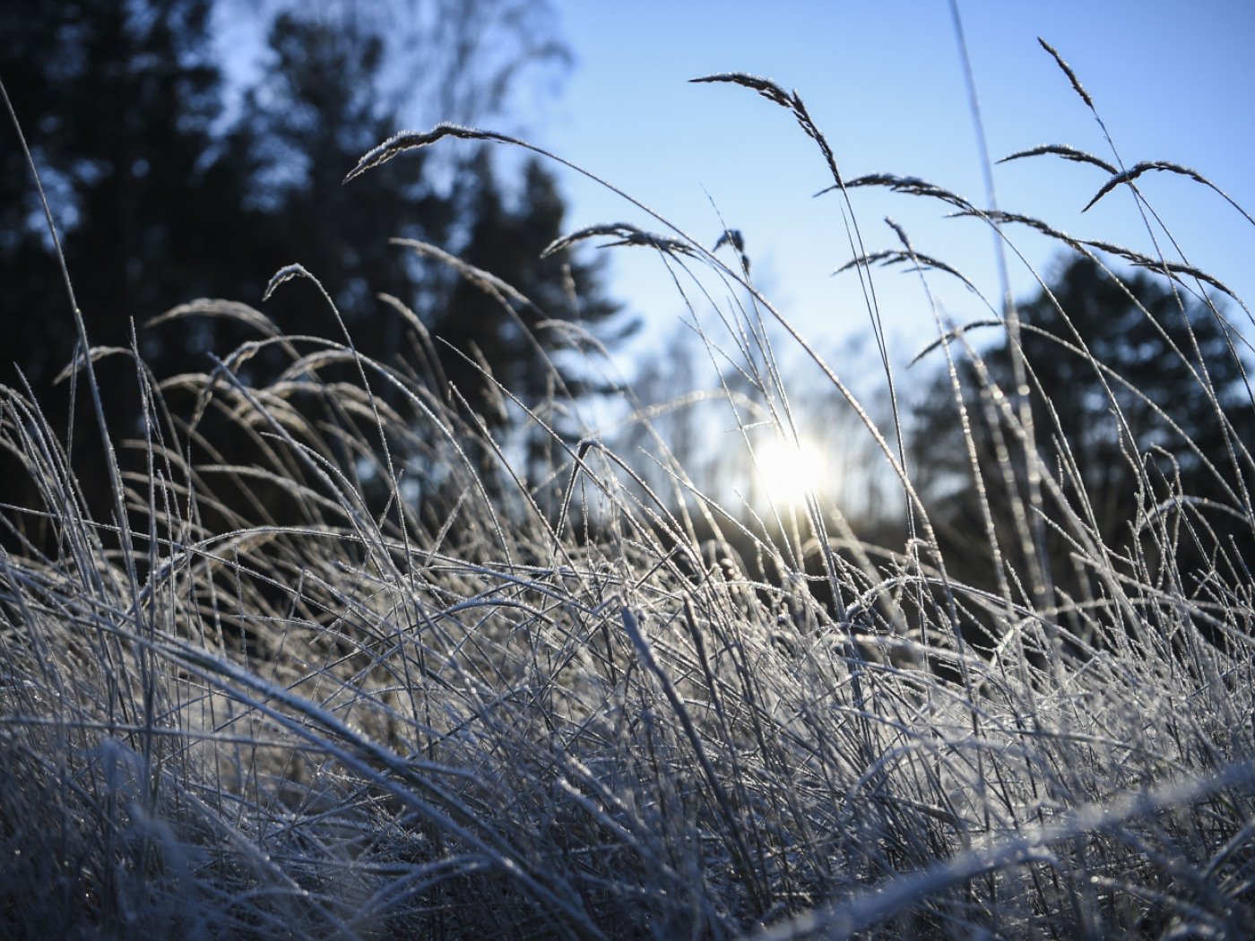 Erste Schneeflocken erreichen das Flachland