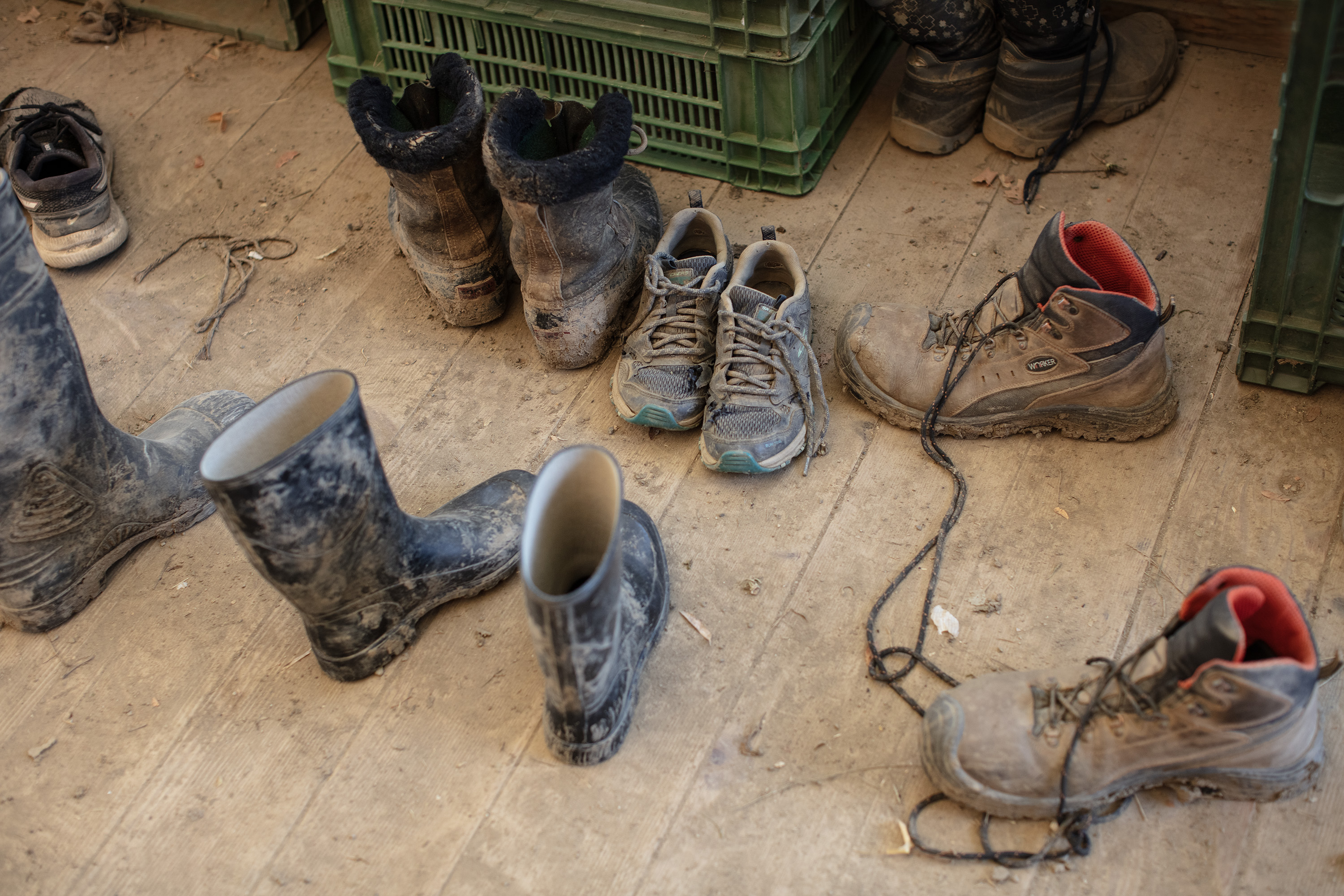 Gartenschuhe und -stiefel
