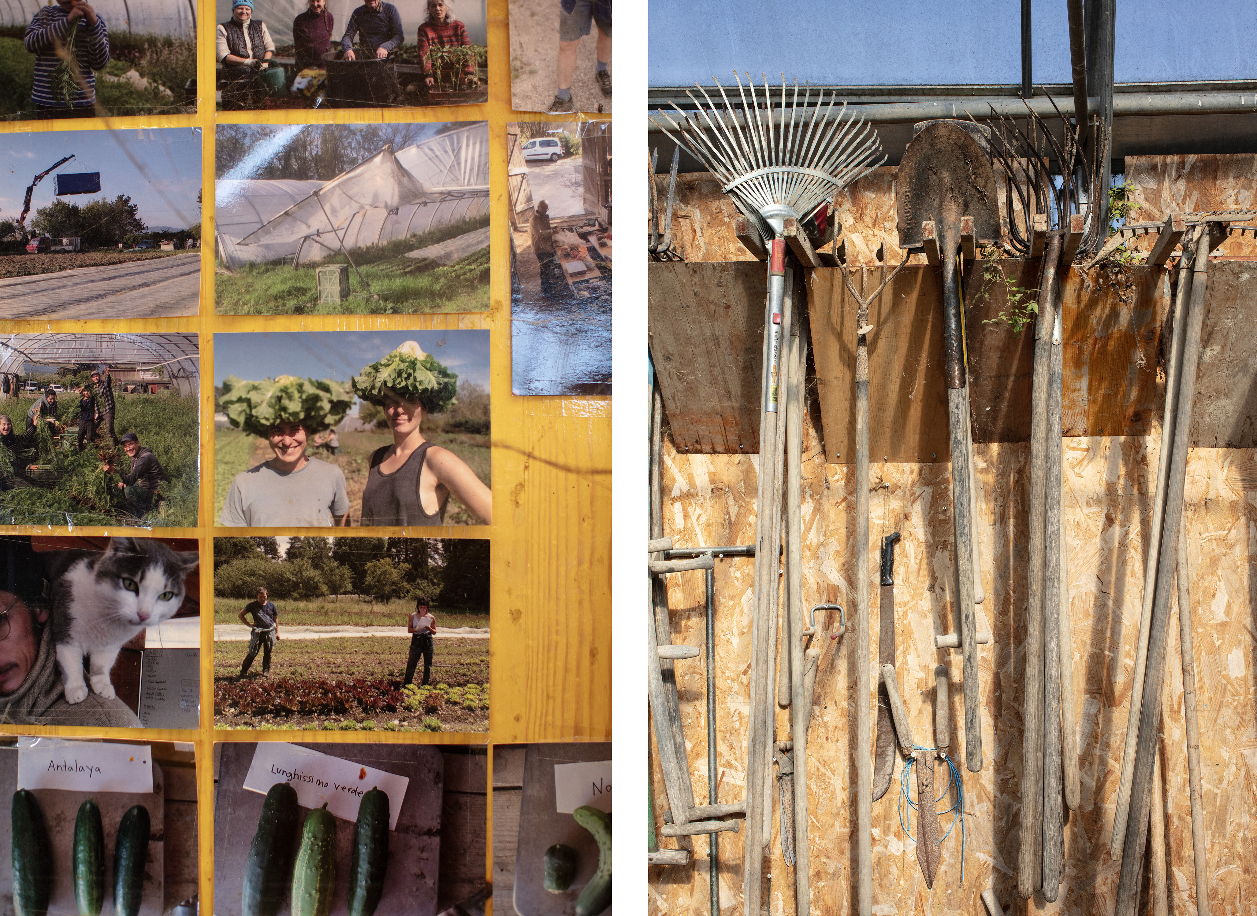 Fotos hängen an der Wand