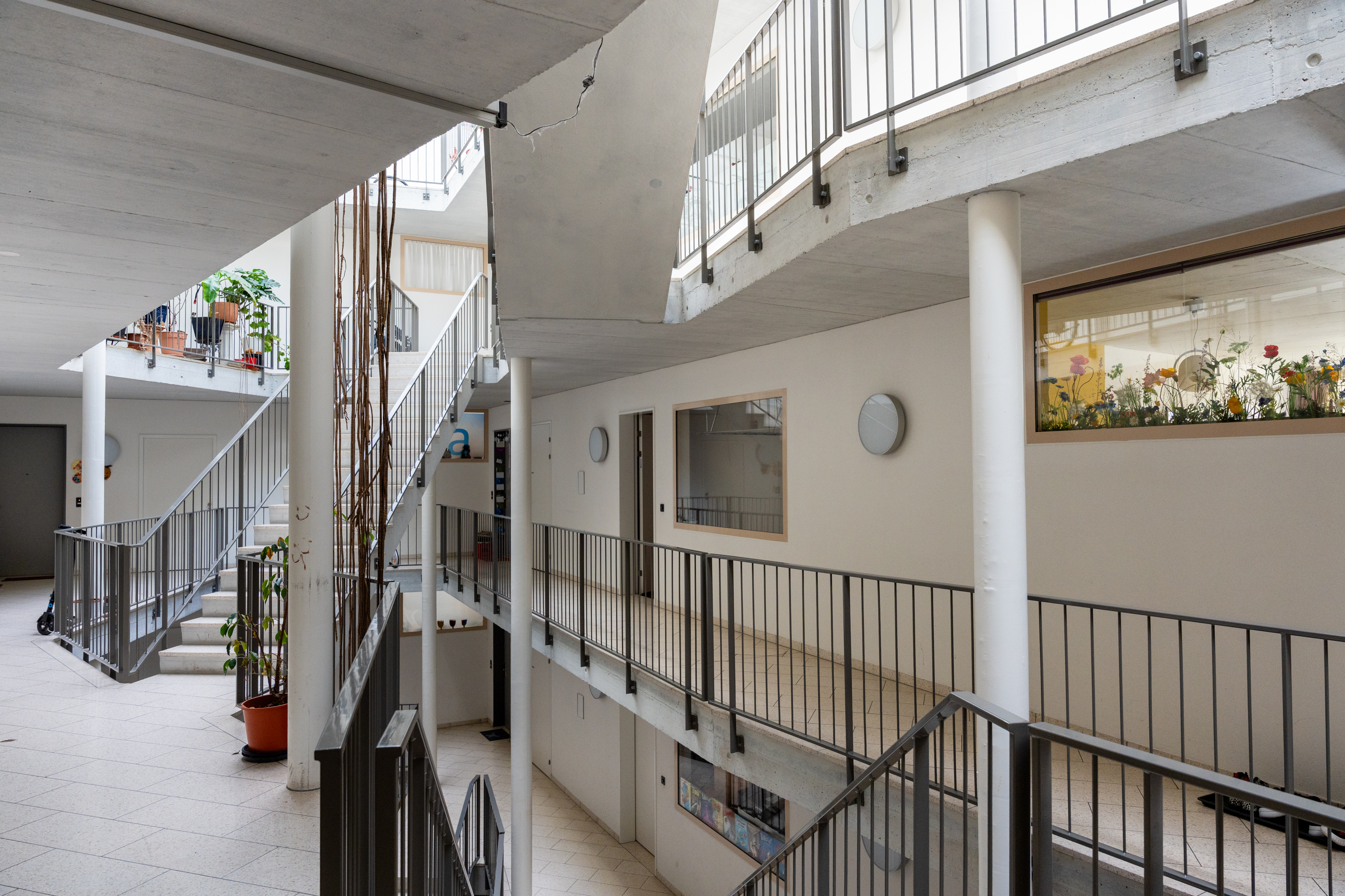 Interior view of a multi-storey apartment block with stairs, plants and natural light