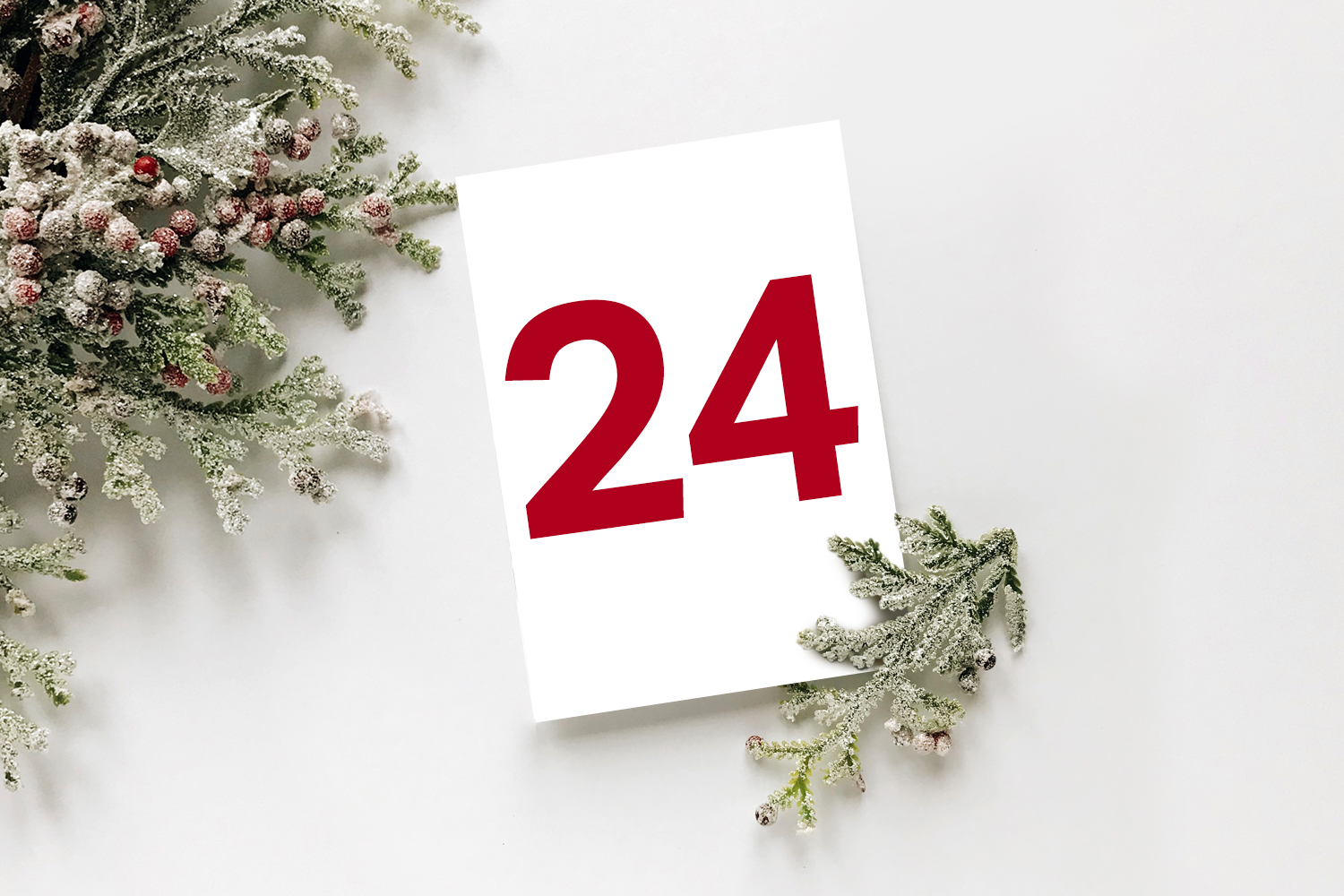 number 24 for advent