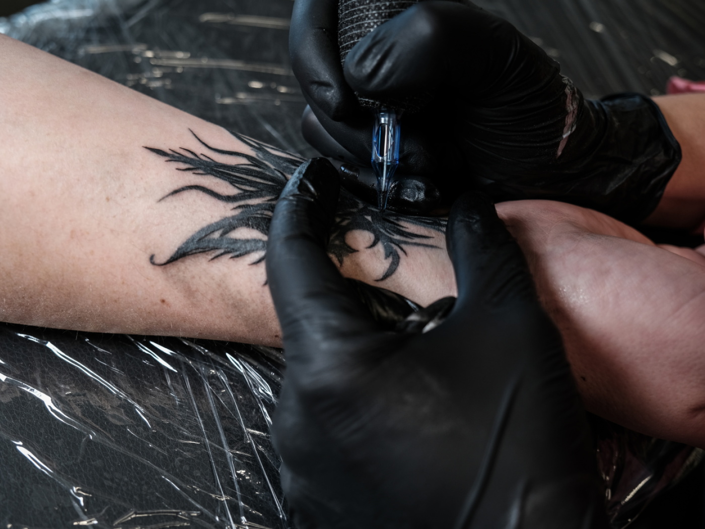 Tattoos influence the defence system of mice