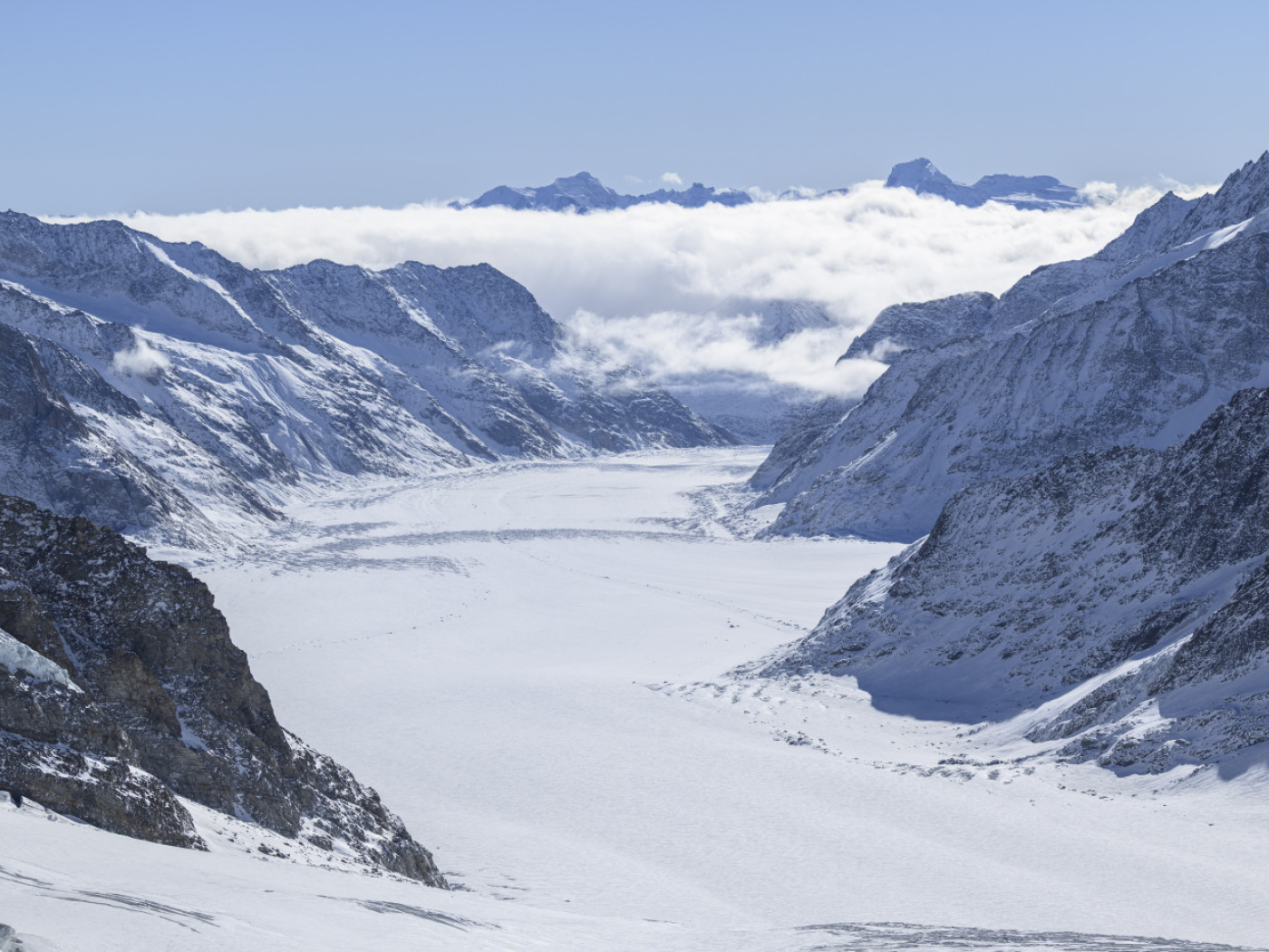 Glaciers survive a little longer thanks to avalanches