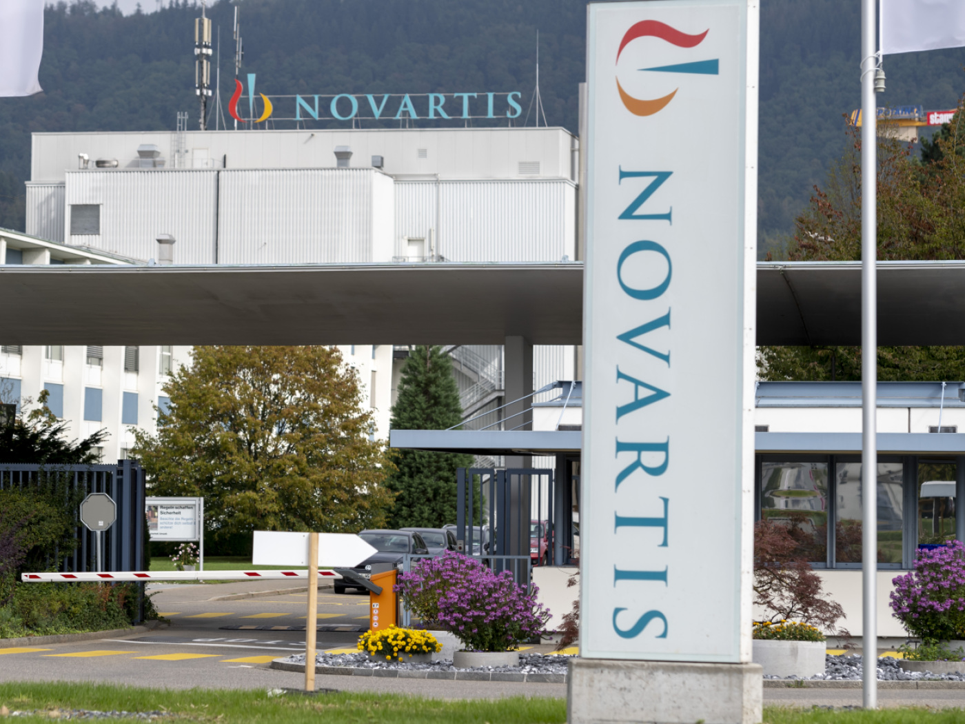 sede di novartis a stein