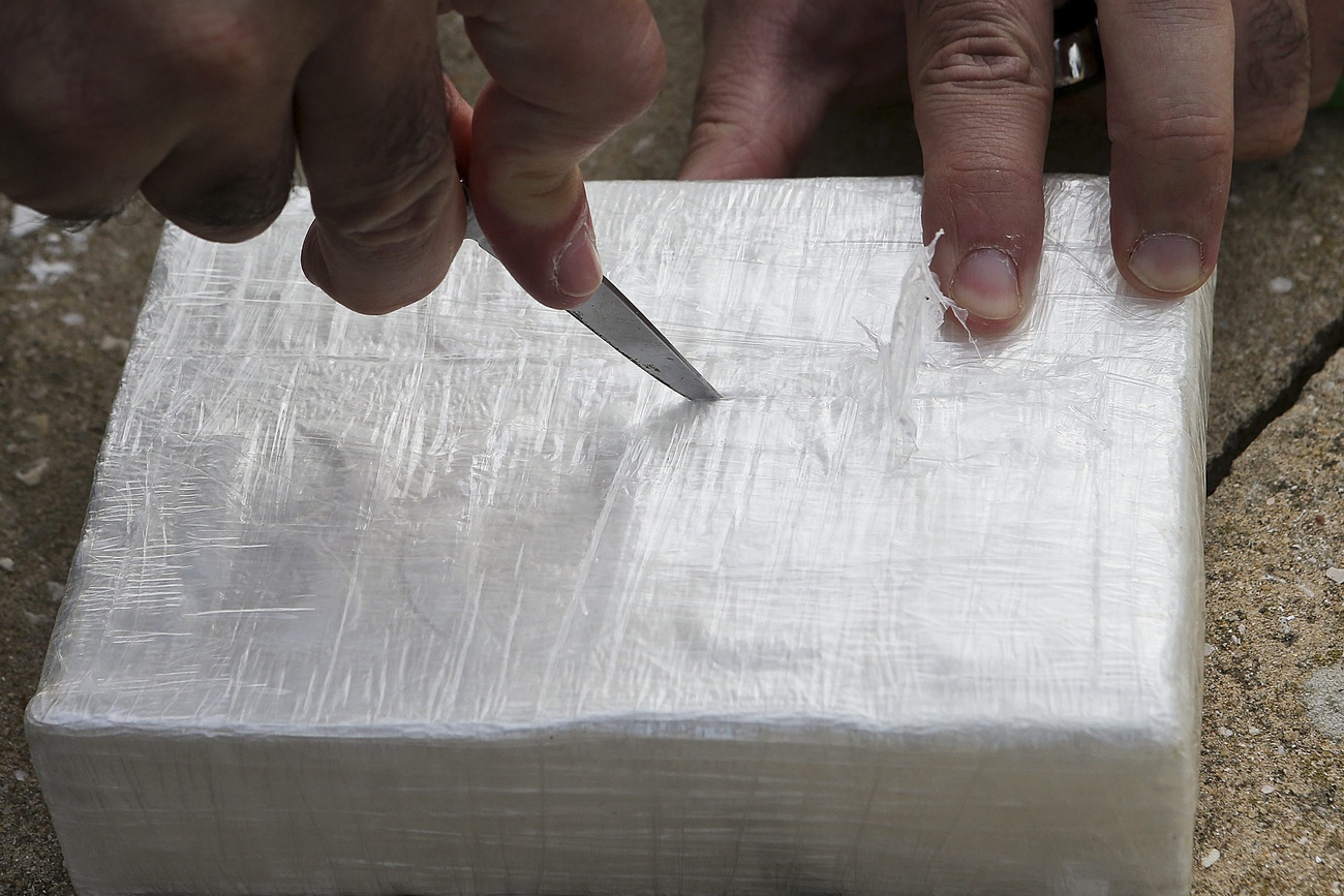 Persona taglia panetto di cocaina