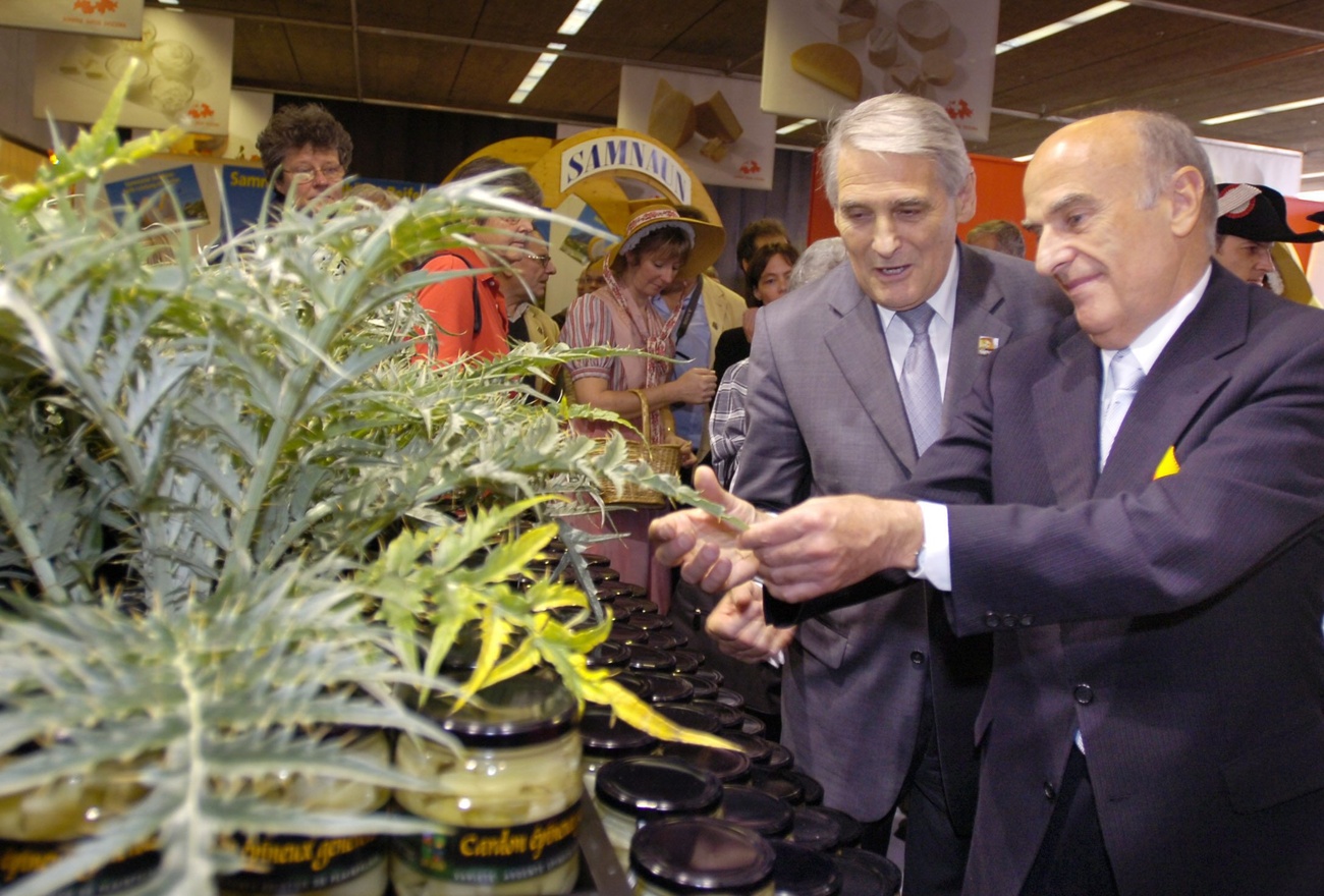 Two politicians in front of a thorny cardoon.