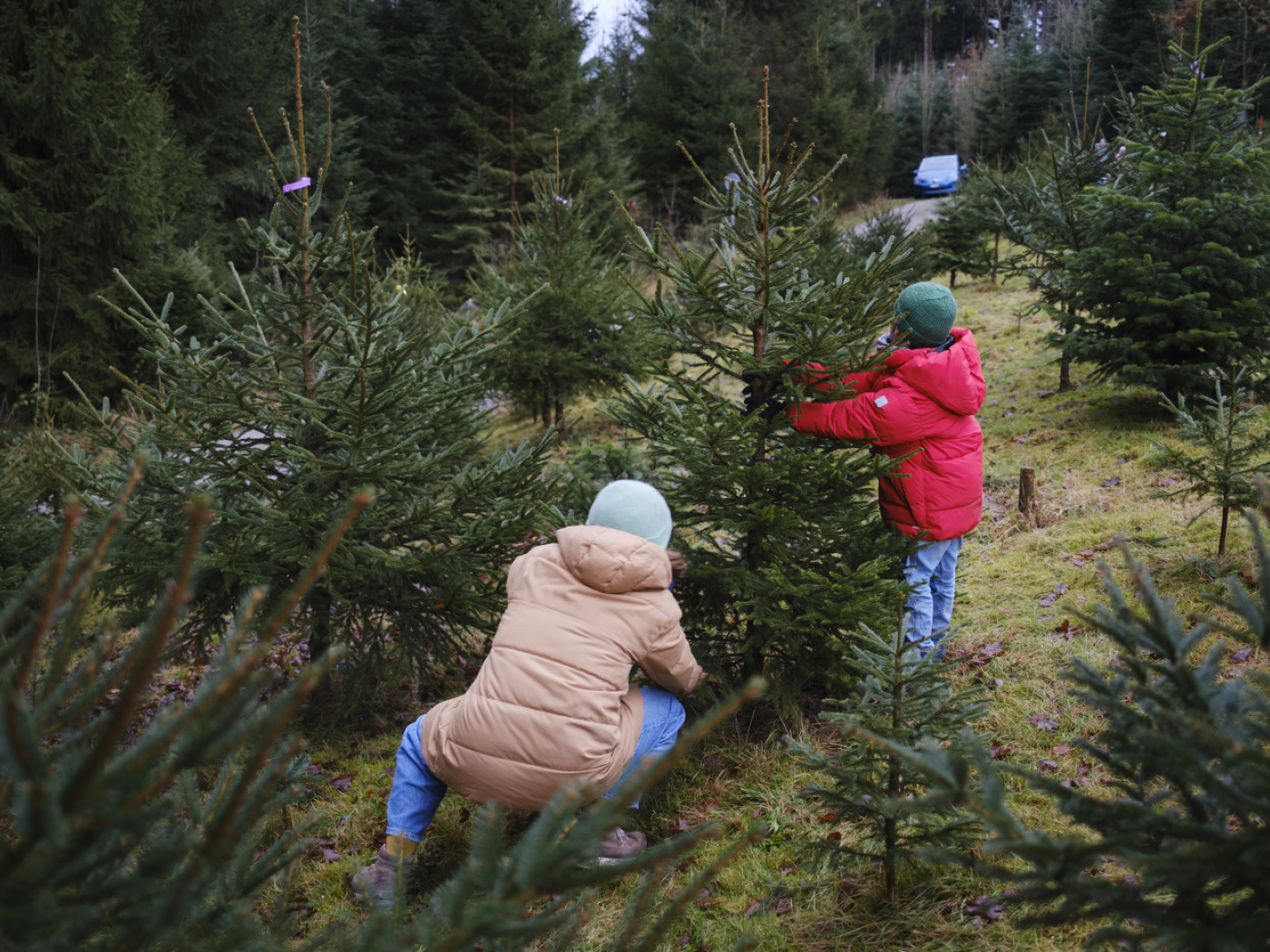 Chances slim of a white Christmas in Switzerland