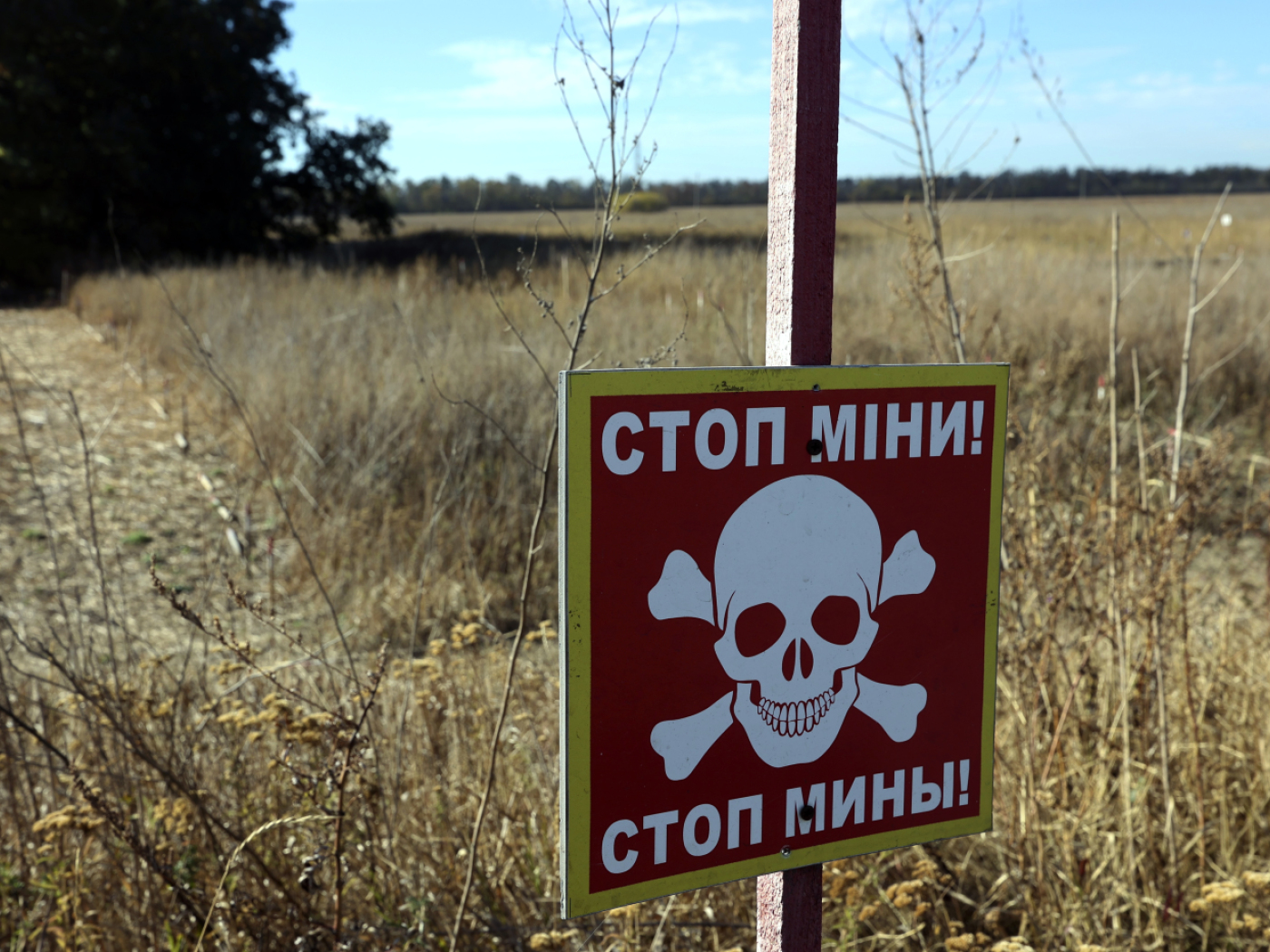 Landmine campaigners warn of regression