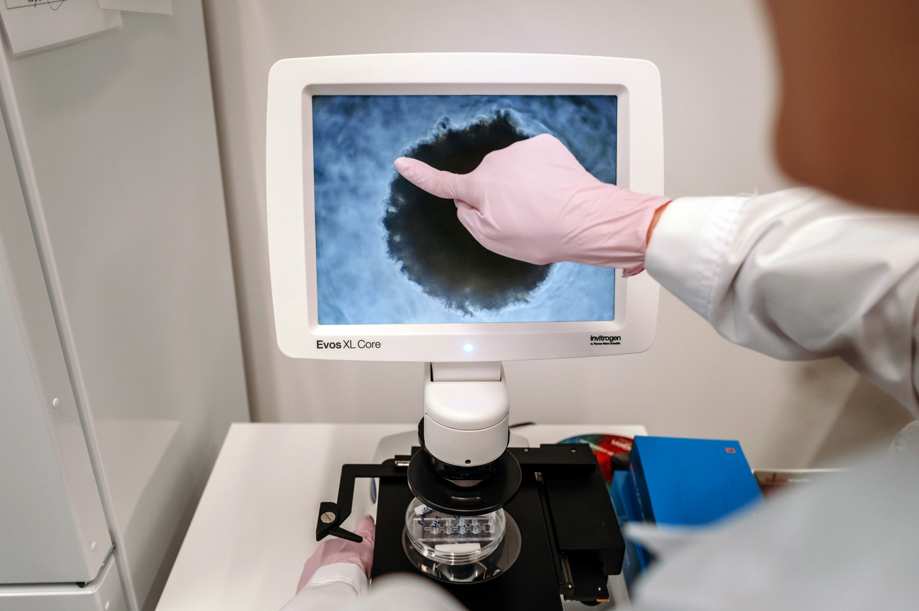 La última bala de Neymar para ir al Mundial - SWI swissinfo.ch