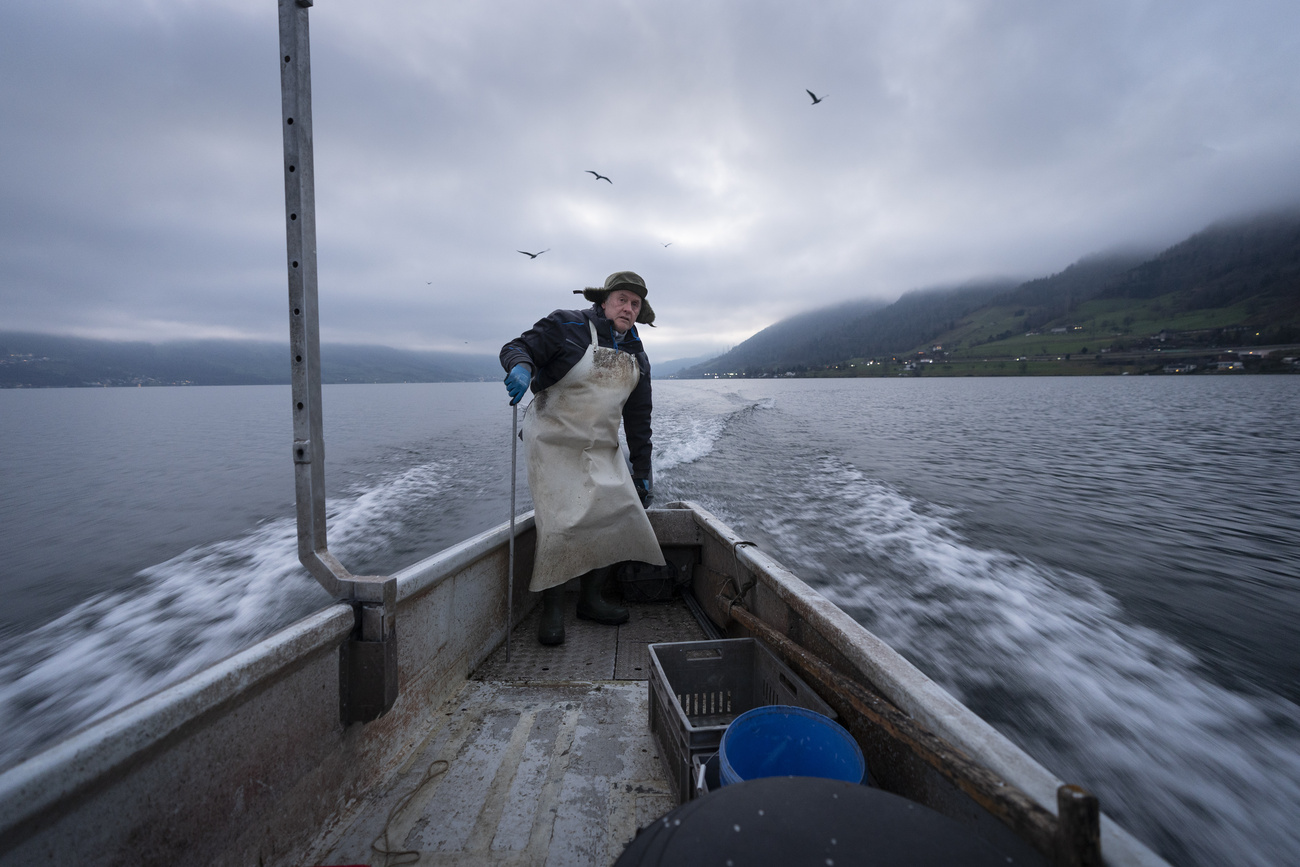 pescatore in barca sul lago