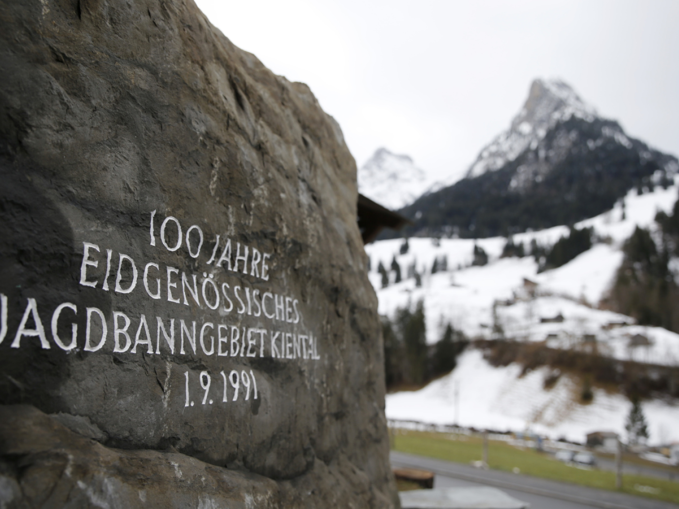 Swiss parliament tightens screws on “problem” wolves