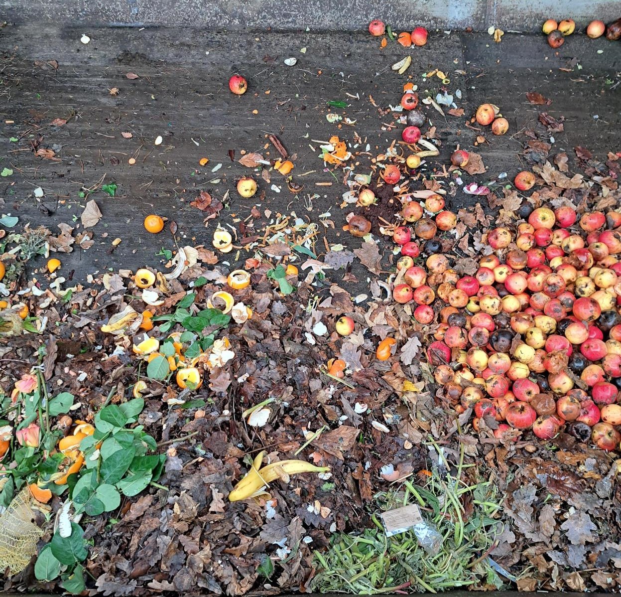 Compost thrown out in a container at a waste facility
