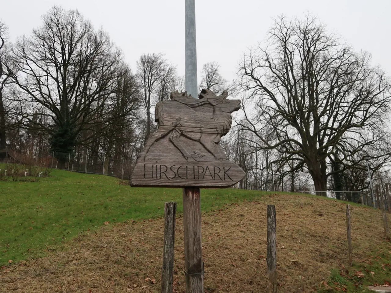 Il parco dei cervi della città di Lucerna ha una lunga storia. Risale al XVII secolo.