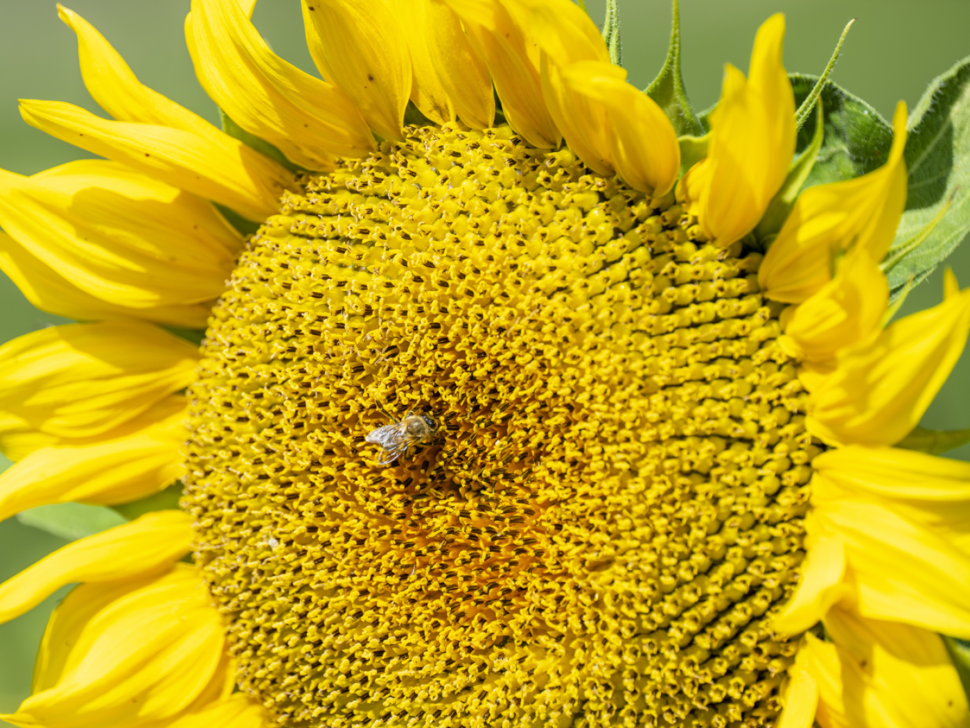 Ukraine: a Geneva-based company's oil stocks bombed