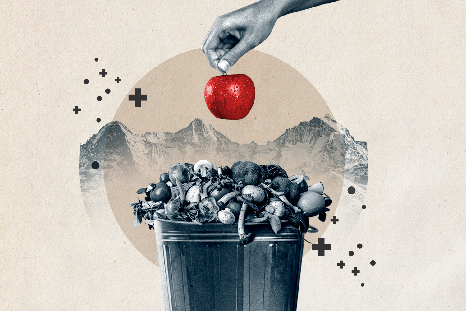 A lot of food goes to waste in Swiss households.