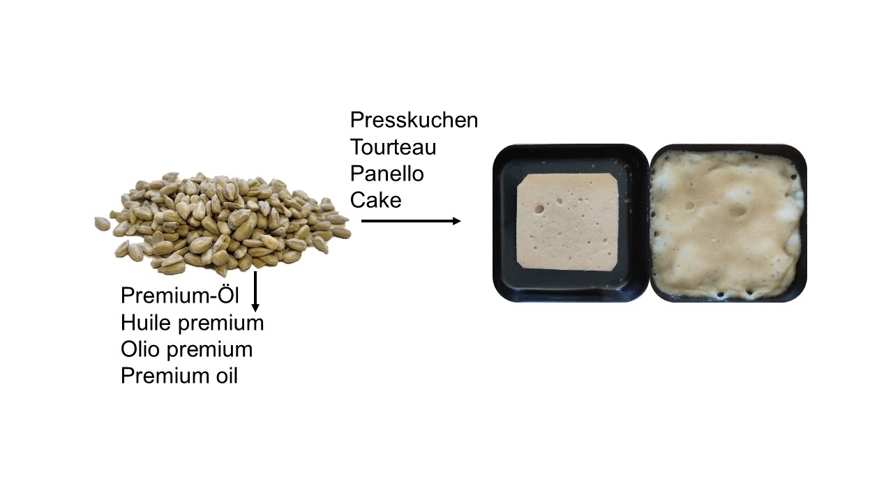 La procedura per trasformare i semi di girasole in panetti per la raclette.