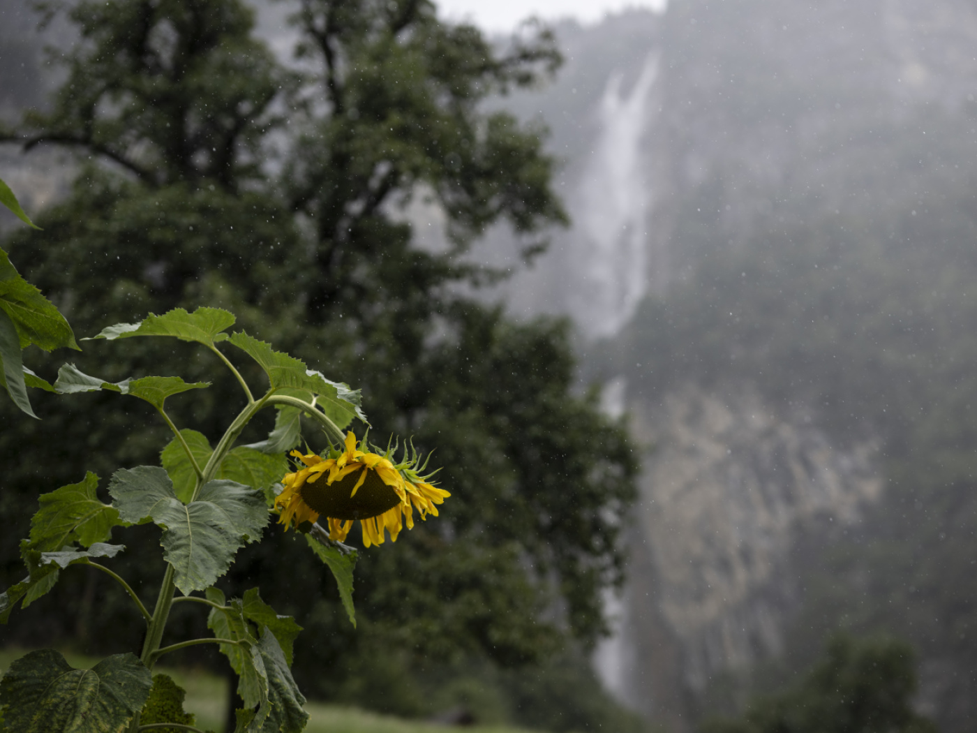 Forever chemical increases sharply in Swiss water bodies