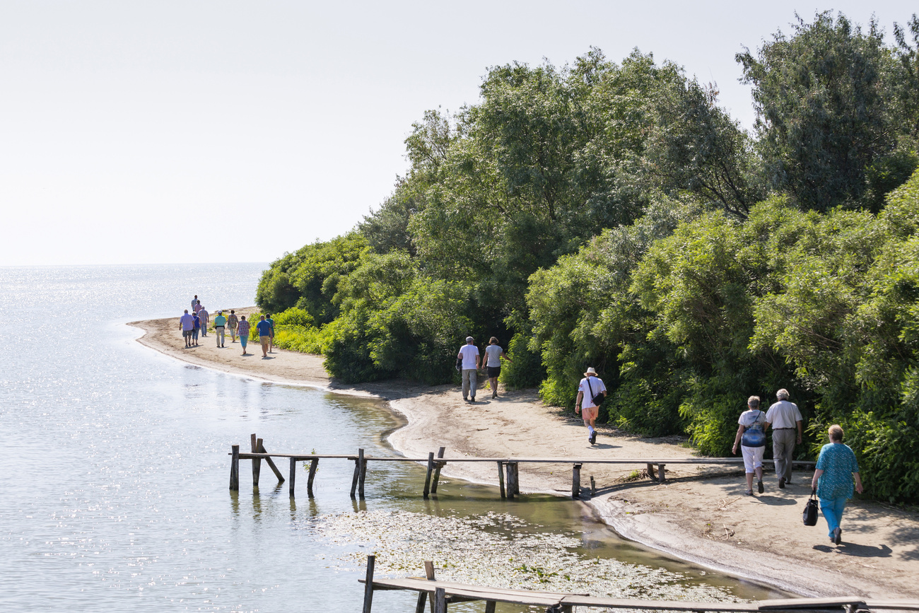 People walking on a strip of sand with forest along a river delta