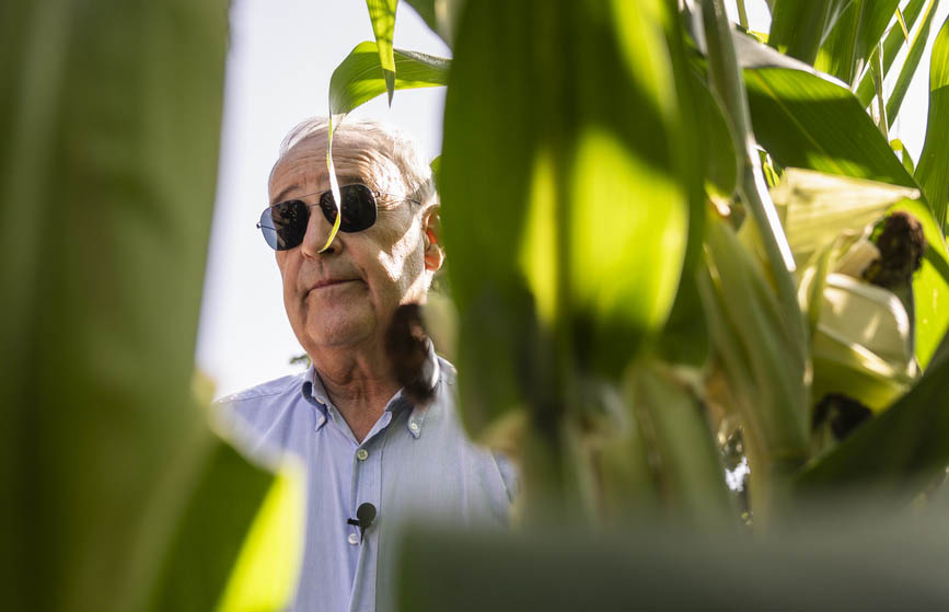 Federal President Guy Parmelin inspects a cornfield.