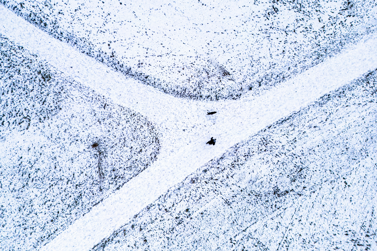 Cane e persona fotografati dall'alto su stradina di campagna innevata
