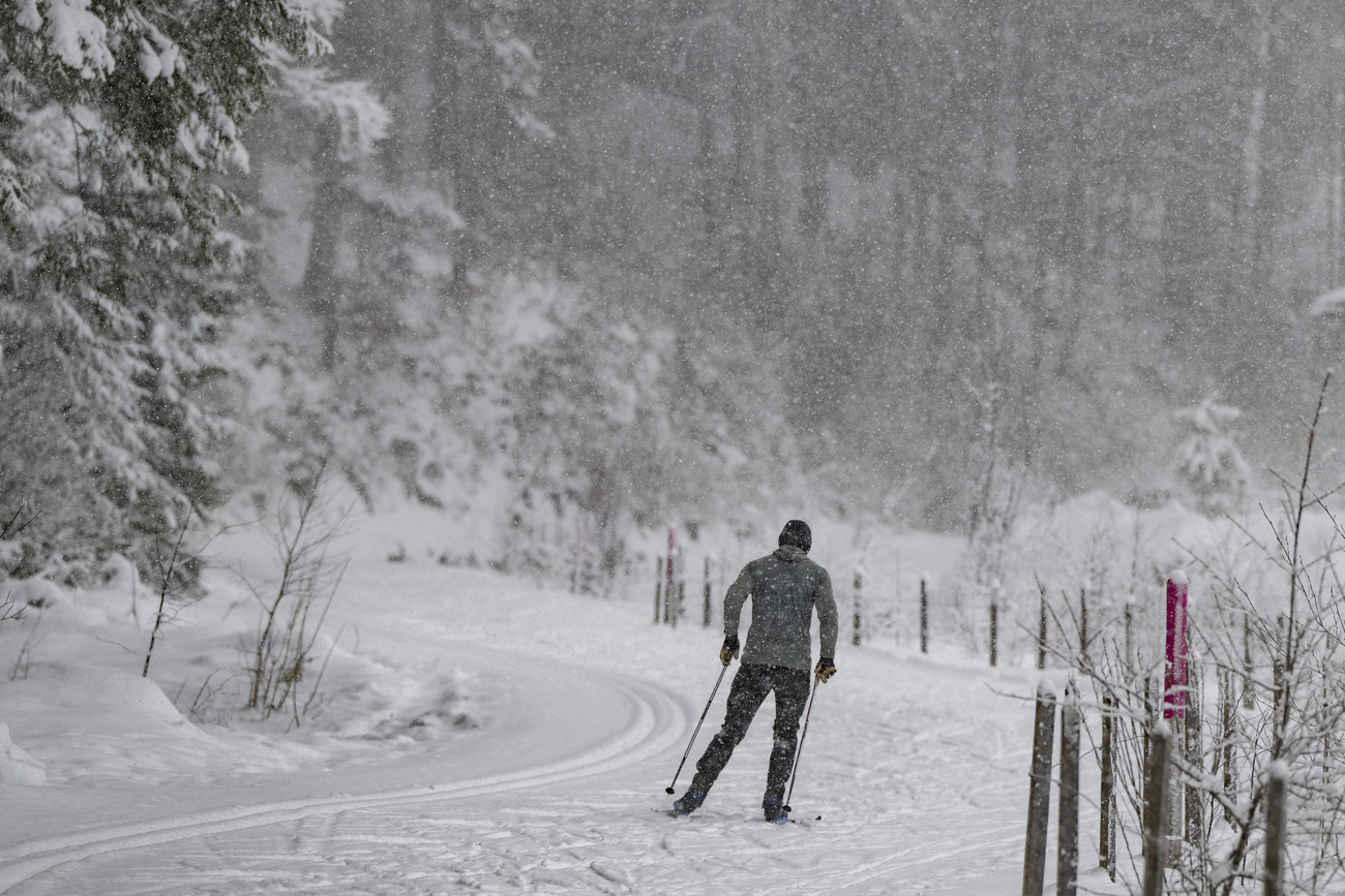 Cross-country skier in Engelberg, Switzerland