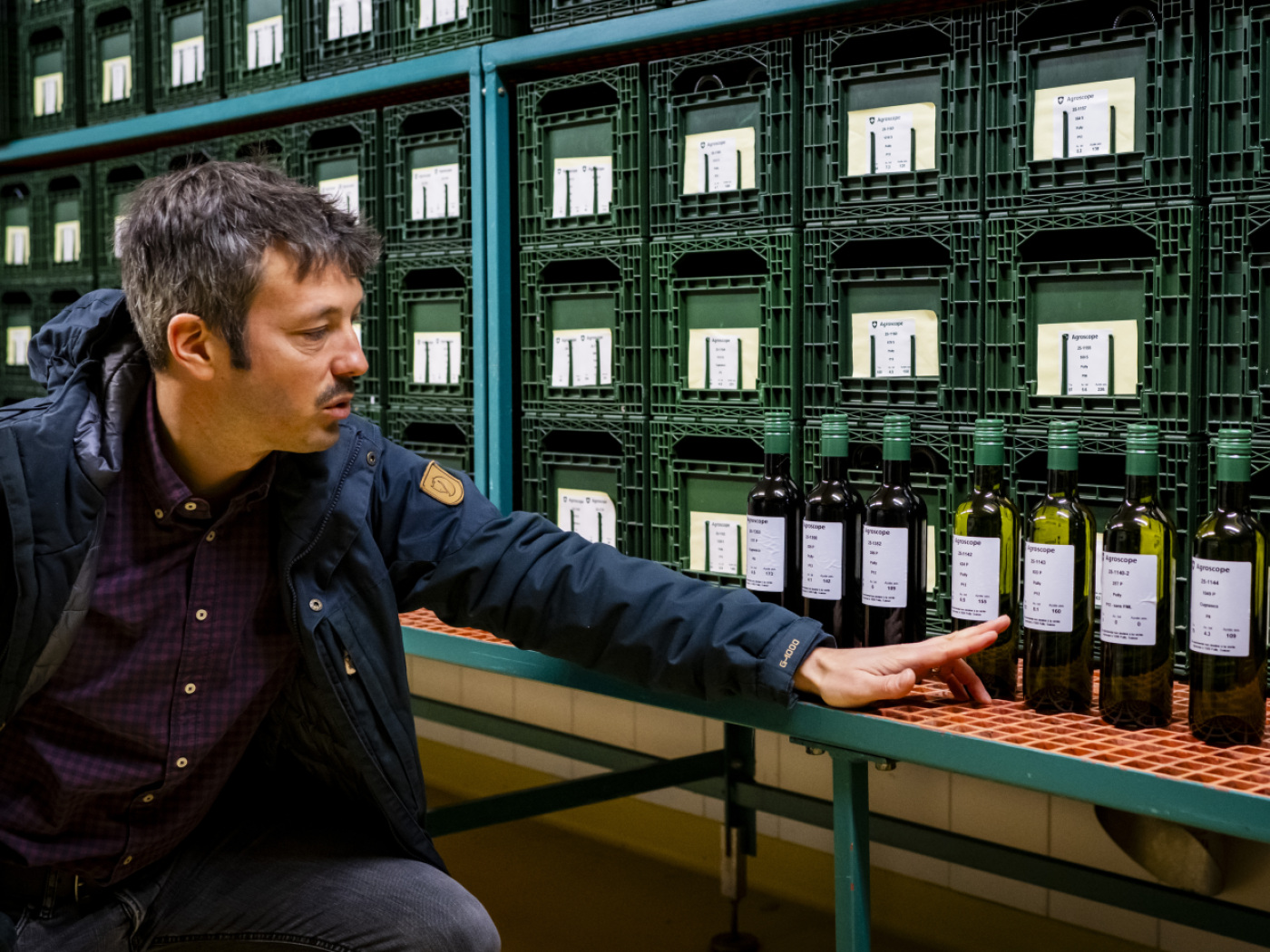 Seven new Swiss grape varieties make their debuts