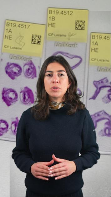 AIは医療にどう活用できる? その可能性と課題 - SWI swissinfo.ch