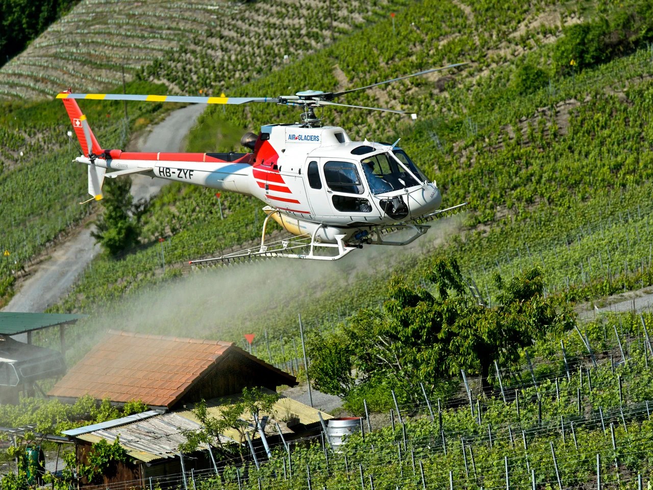 Pflanzenschutzmittel werden mit dem Wind verdriftet und sind – wie hier im Wallis – noch ein Kilometer vom Spritzort entfernt messbar.