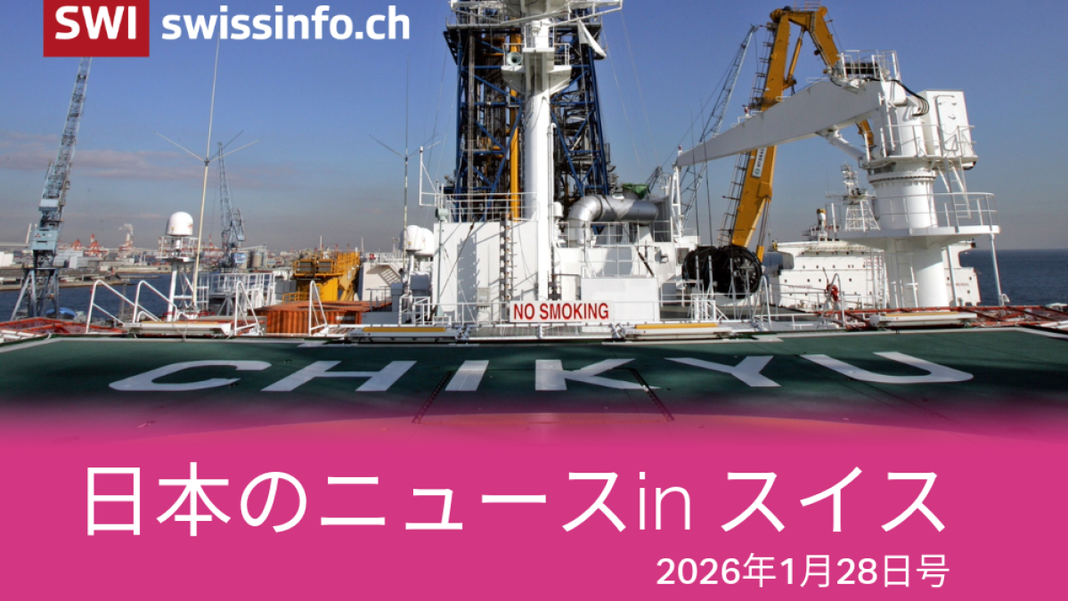円相場、国債、レアアース、ジャパニーズ・チーズケーキ スイスの