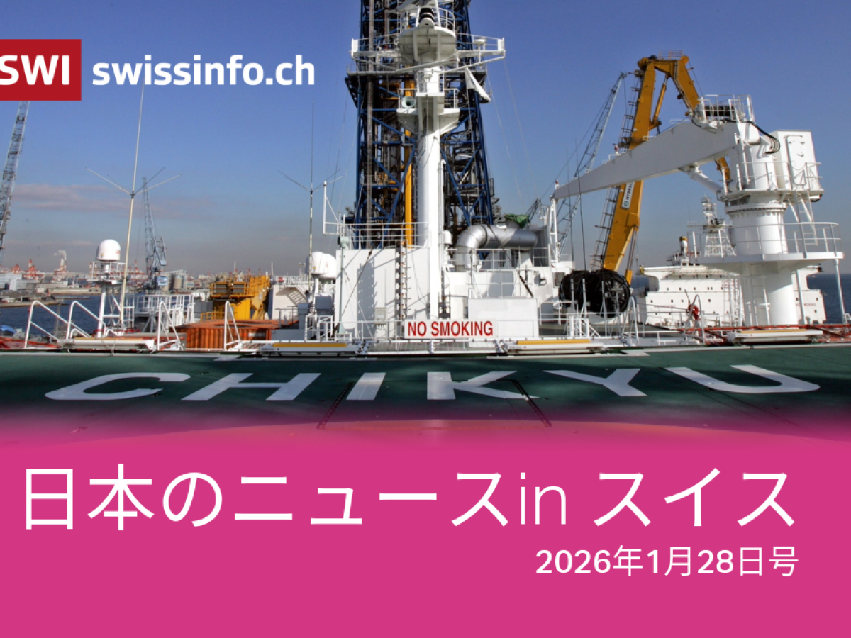 円相場、国債、レアアース、ジャパニーズ・チーズケーキ スイスの