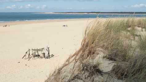 The failed migration of Switzerland’s Helvetii The failed migration of Switzerland’s Helvetii